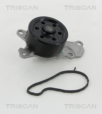 Triscan Wasserpumpe [Hersteller-Nr. 860010039] für Citroën, Toyota, Peugeot