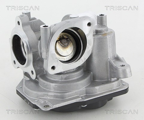 Triscan AGR-Ventil [Hersteller-Nr. 881310031] für Fiat, Alfa Romeo