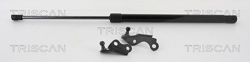 Triscan Gasfeder, Koffer-/Laderaum [Hersteller-Nr. 871013288] für Toyota