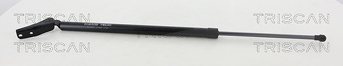 Triscan Gasfeder, Koffer-/Laderaum [Hersteller-Nr. 871014257] für Nissan