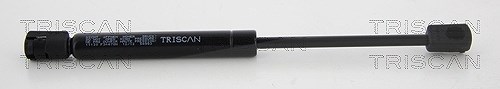 Triscan Gasfeder, Motorhaube [Hersteller-Nr. 871011130] für BMW