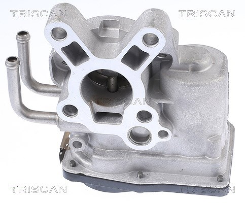 Triscan AGR-Ventil [Hersteller-Nr. 881314010] für Nissan