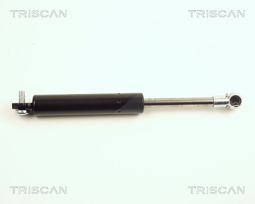 Triscan Gasfeder, Koffer-/Laderaum [Hersteller-Nr. 871025212] für Renault