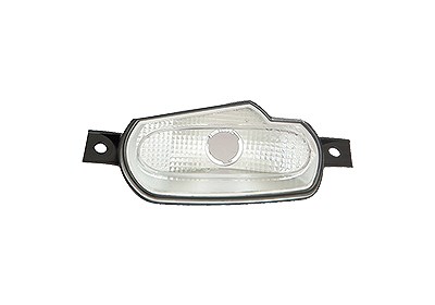 Van Wezel Blinkleuchte [Hersteller-Nr. 2916905] für Smart
