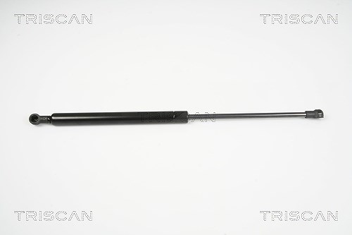 Triscan Gasfeder, Koffer-/Laderaum [Hersteller-Nr. 871016252] für Ford