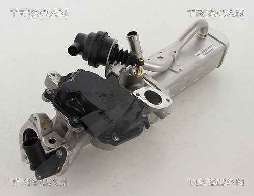 Triscan AGR-Ventil [Hersteller-Nr. 881310203] für Ford