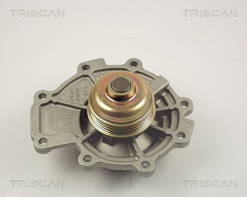 Triscan Wasserpumpe [Hersteller-Nr. 860016011] für Jaguar, Ford