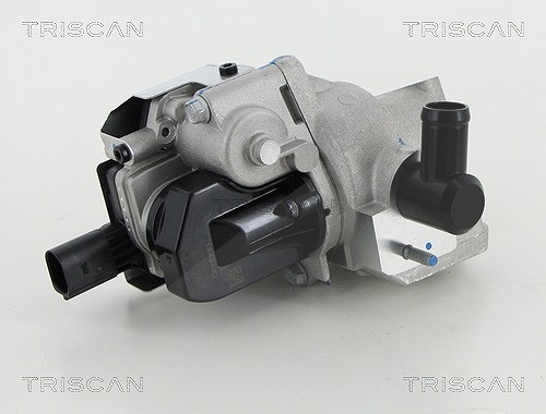 Triscan AGR-Ventil [Hersteller-Nr. 881318046] für Kia, Hyundai