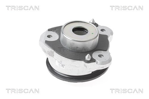 Triscan Federbeinstützlager [Hersteller-Nr. 850015918] für Fiat
