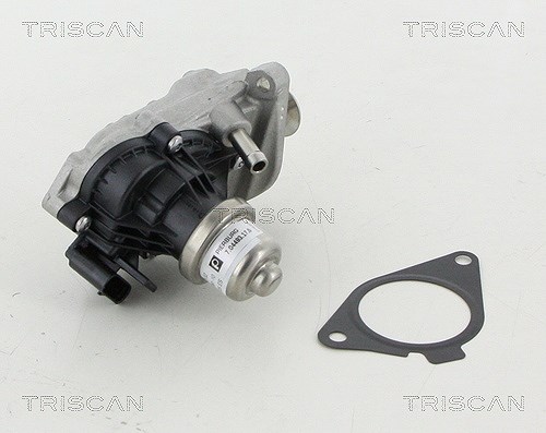 Triscan AGR-Ventil [Hersteller-Nr. 881311007] für Mini, BMW