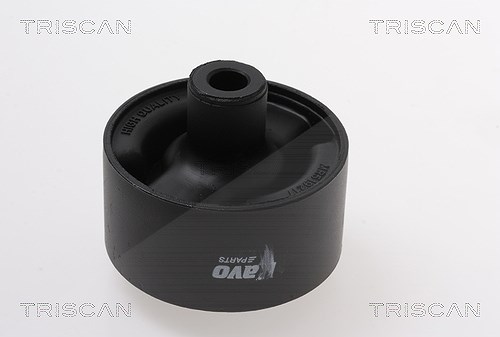 Triscan Lagerung, Lenker [Hersteller-Nr. 850042811] für Mitsubishi