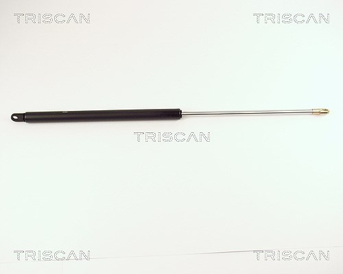 Triscan Gasfeder, Koffer-/Laderaum [Hersteller-Nr. 87102904] für VW