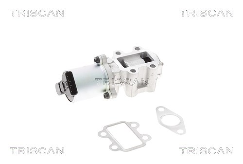 Triscan AGR-Ventil [Hersteller-Nr. 881313101] für Toyota