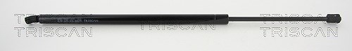 Triscan Gasfeder, Koffer-/Laderaum [Hersteller-Nr. 871043239] für Hyundai