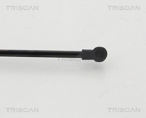 Triscan Gasfeder, Koffer-/Laderaum [Hersteller-Nr. 871024254] für Chevrolet