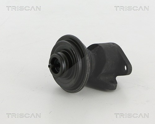 Triscan AGR-Ventil [Hersteller-Nr. 881318035] für Kia