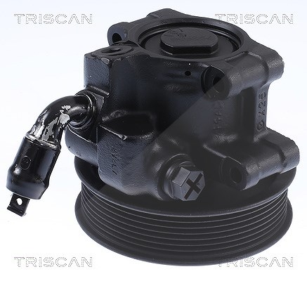 Triscan Hydraulikpumpe, Lenkung [Hersteller-Nr. 851516673] für Ford