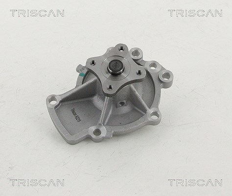Triscan Wasserpumpe [Hersteller-Nr. 860014925] für Nissan