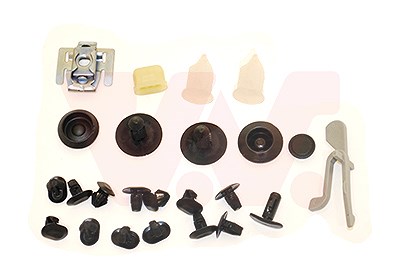 Van Wezel Montagesatz, Tür [Hersteller-Nr. 4327799] für Renault