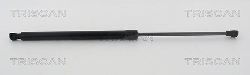 Triscan Gasfeder, Koffer-/Laderaum [Hersteller-Nr. 871028298] für Peugeot
