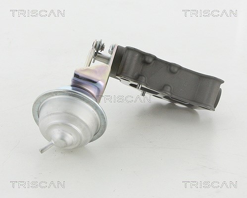 Triscan AGR-Ventil [Hersteller-Nr. 881313058] für Toyota