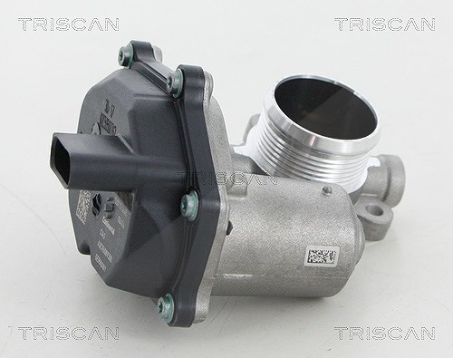 Triscan AGR-Ventil [Hersteller-Nr. 881329315] für Seat, Audi, VW, Skoda
