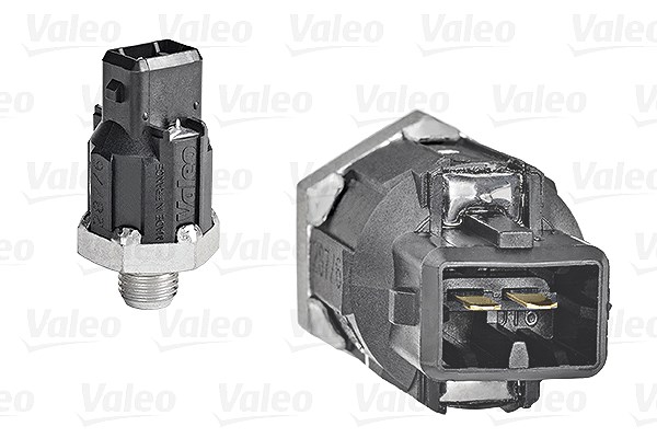 Valeo Klopfsensor [Hersteller-Nr. 255400] für Dacia, Renault