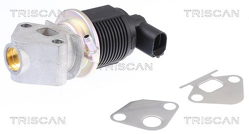 Triscan AGR-Ventil [Hersteller-Nr. 881329009] für Seat, Skoda, VW, Audi
