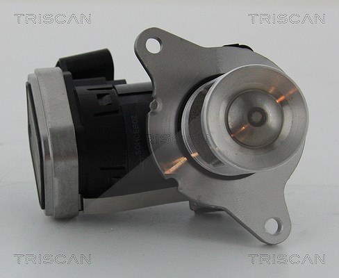 Triscan AGR-Ventil [Hersteller-Nr. 881323006] für Mercedes-Benz