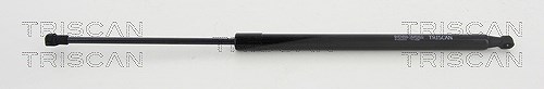 Triscan Gasfeder, Koffer-/Laderaum [Hersteller-Nr. 8710292019] für VW