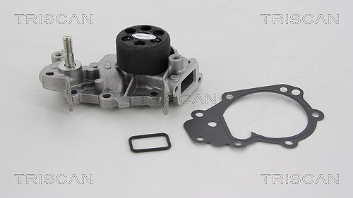 Triscan Wasserpumpe [Hersteller-Nr. 860025017] für Renault, Dacia