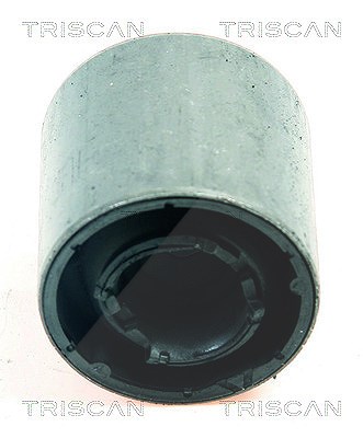 Triscan Lagerung, Lenker [Hersteller-Nr. 850011840] für Mini
