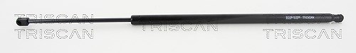 Triscan Gasfeder, Koffer-/Laderaum [Hersteller-Nr. 871016266] für Ford