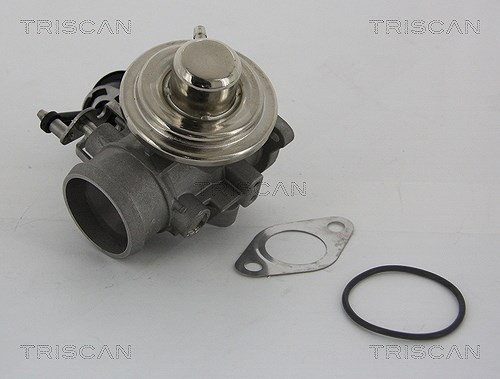 Triscan AGR-Ventil [Hersteller-Nr. 881329001] für VW, Skoda, Seat, Audi
