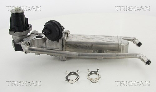 Triscan AGR-Ventil [Hersteller-Nr. 881329325] für Seat, Audi, VW, Skoda