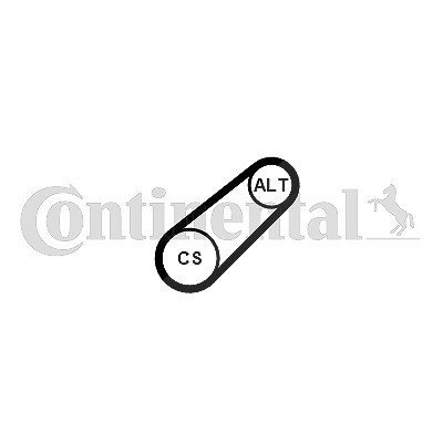 Continental Ctam Keilrippenriemen [Hersteller-Nr. 6PK799ELAST] für Seat, Audi, VW, Skoda