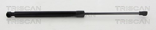 Triscan Gasfeder, Motorhaube [Hersteller-Nr. 871025111] für Renault