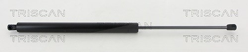 Triscan Gasfeder, Koffer-/Laderaum [Hersteller-Nr. 871016275] für Ford