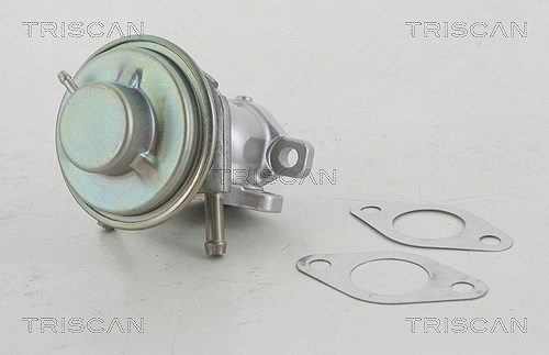 Triscan AGR-Ventil [Hersteller-Nr. 881315029] für Fiat, Iveco