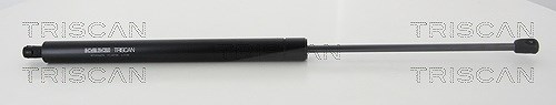 Triscan Gasfeder, Koffer-/Laderaum [Hersteller-Nr. 871016276] für Ford