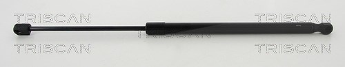 Triscan Gasfeder, Koffer-/Laderaum [Hersteller-Nr. 8710292007] für VW