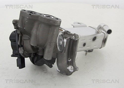 Triscan AGR-Ventil [Hersteller-Nr. 881316014] für Ford, Peugeot, Citroën, Fiat