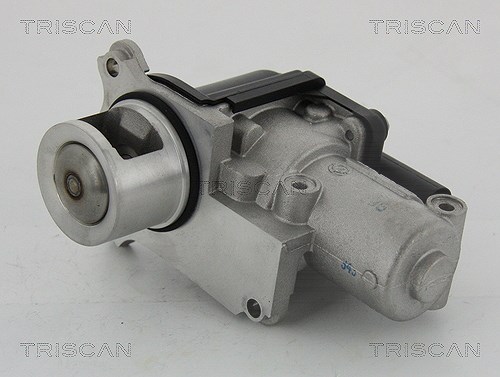 Triscan AGR-Ventil [Hersteller-Nr. 881329002] für Skoda, Seat, Audi, VW