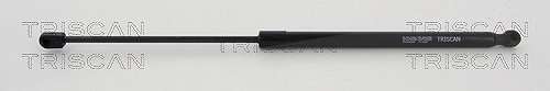 Triscan Gasfeder, Koffer-/Laderaum [Hersteller-Nr. 8710292020] für Audi