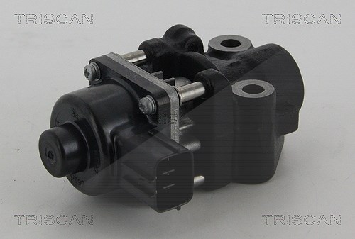 Triscan AGR-Ventil [Hersteller-Nr. 881310013] für Suzuki, Subaru, Fiat