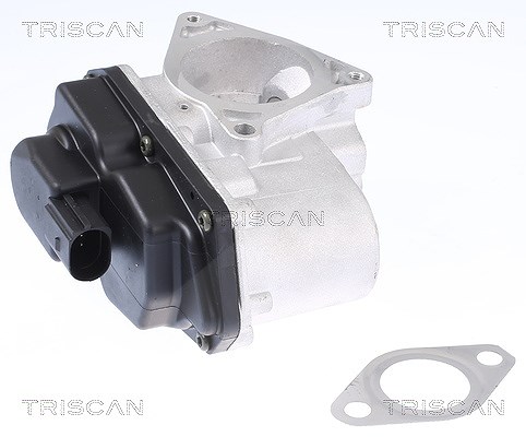 Triscan AGR-Ventil [Hersteller-Nr. 881329003] für Seat, Audi, VW, Skoda