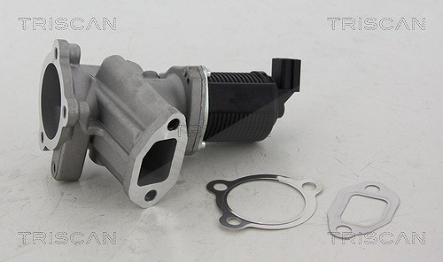 Triscan AGR-Ventil [Hersteller-Nr. 881324012] für Fiat, Lancia, Opel, Vauxhall
