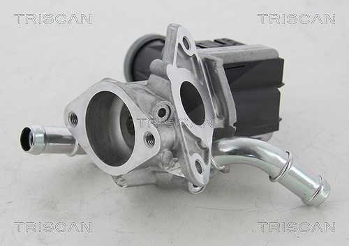 Triscan AGR-Ventil [Hersteller-Nr. 881316036] für Ford