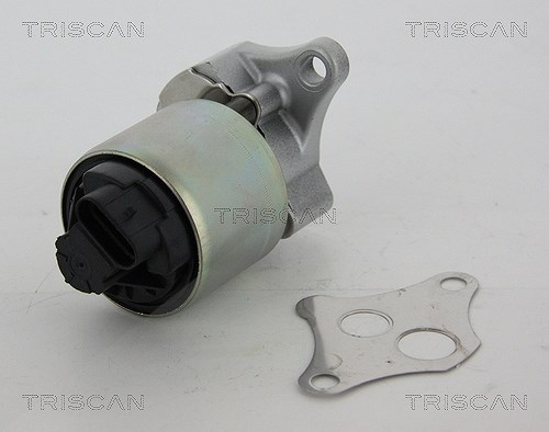 Triscan AGR-Ventil [Hersteller-Nr. 881324081] für Vauxhall, Opel