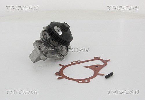 Triscan Wasserpumpe [Hersteller-Nr. 860010081] für Opel, Peugeot, Toyota, Vauxhall, Ds, Citroën